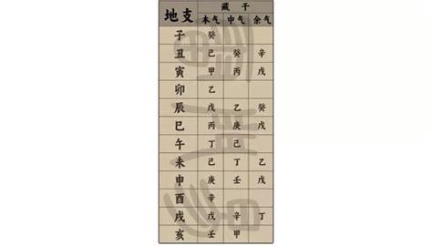 全陰八字|命理基礎知識梳理07：全陰全陽八字的人，都過得怎么。